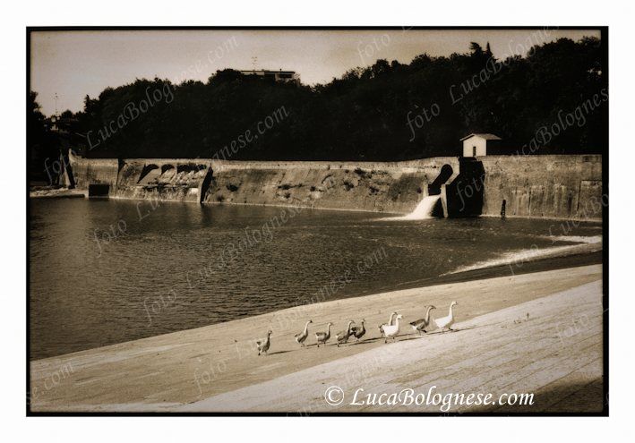 Lido di Casalecchio di Reno - Bologna